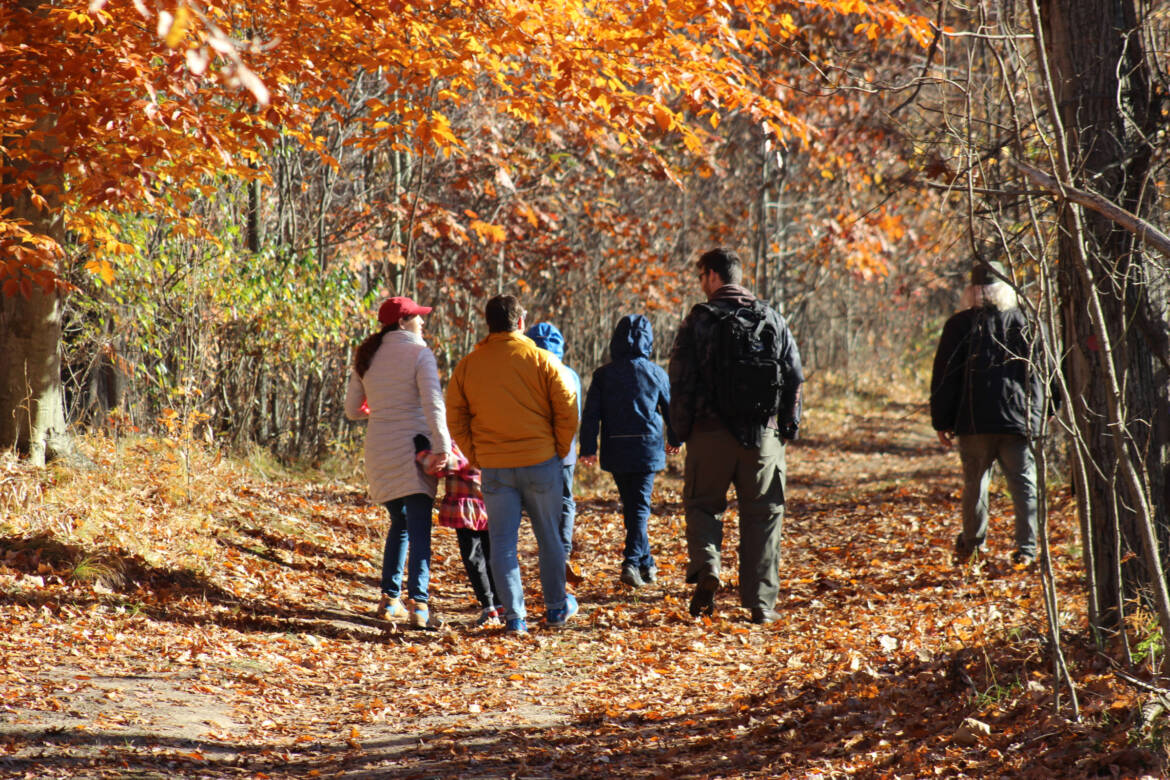 teetonkah-woods.jpg