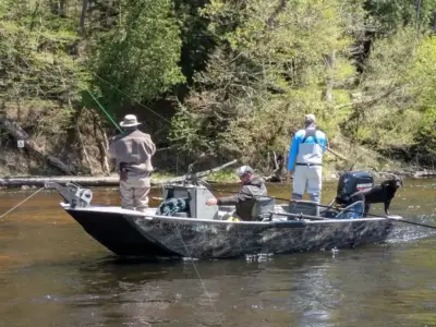 PXL_20250508_181741035 PXL_20250508_181741035