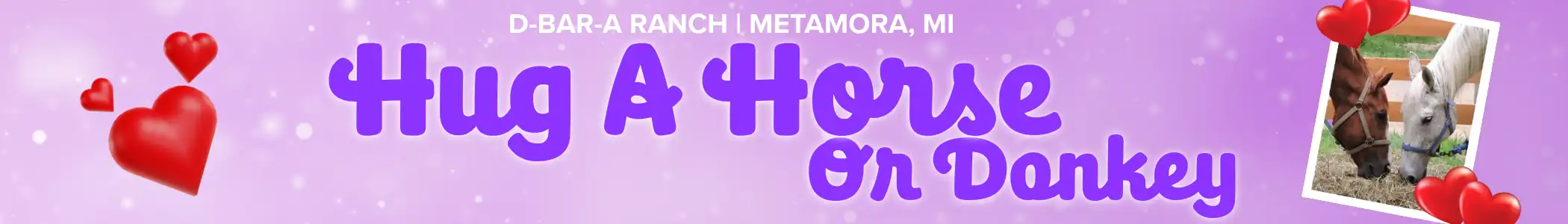 Hug a Horse or Donkey at D-Bar-A - February 1, 2026