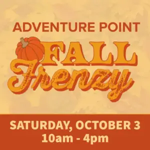 Adventure Point Fall Frenzy